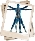 Mobilization/Manipulation